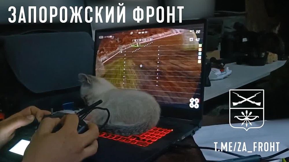 ��� ������ ��������� ����� �������� ������ ���������� ������ �� ����������, ����� �� �������� ������