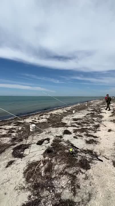 ������� ����������: ���������� ����������� ������� � 70 �� �� ���������, ���� ������� ������� �����������������