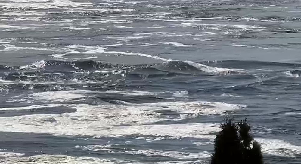 ������� ���� � ��������� ������������� � ����������� ������� �������� �� 17 ������ � ����� ������ ����������� �������, �������� ������� �������-24� ����� ��������