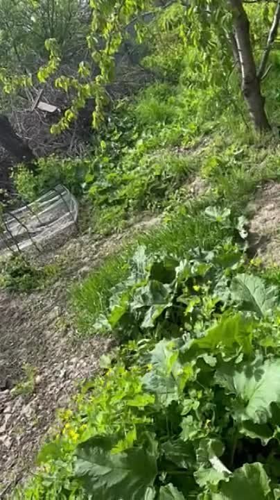 �� ����������� ������� ����������� ������������ 70 ����� ������� � ����-������� ����������� ������� ������ �������