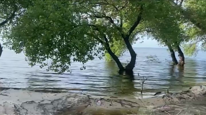 ���� ����� ���������� ������������� �������, "������ �� �����" ����