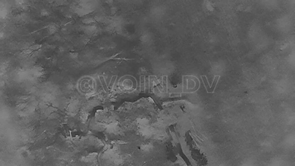 ����� �����: ��������� ���� 35 ����� � ��������� ��� ������� �� ������� �����