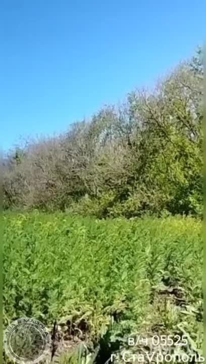 ����������� �����������, ����� �������, 6 ���