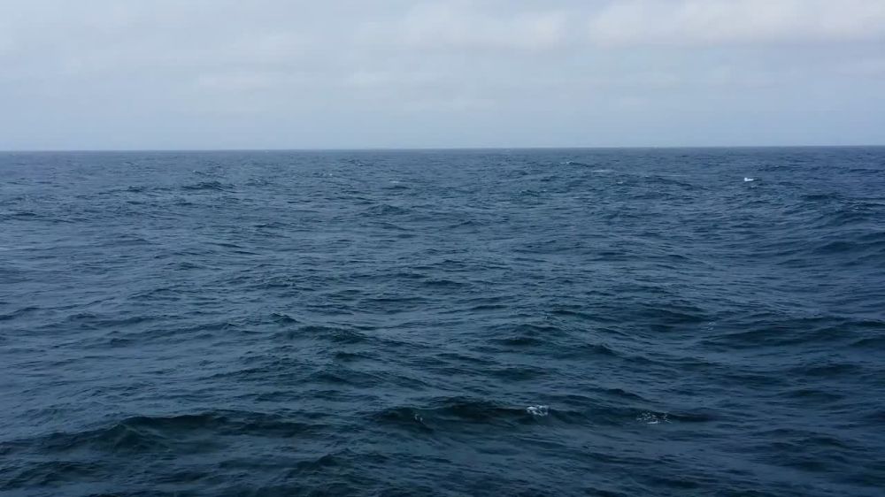 ����� �������: ����������� ����� ������� ������ �������� �������� ����������� �������