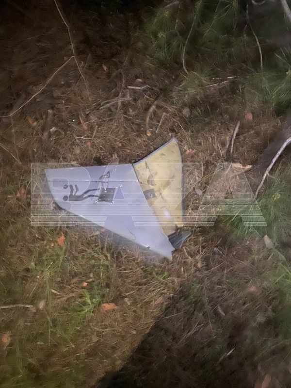 ���������� ����������� ���������: ����� ���� ��� � ������������� ��� �������� ��������� ����� �� �����������