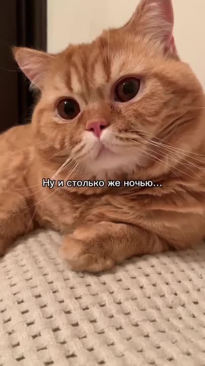 ������ ����!