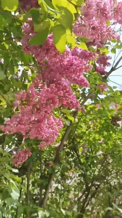 ������������ �� ����������� ������ telegram-������ "�� ����� ���� � ���������"