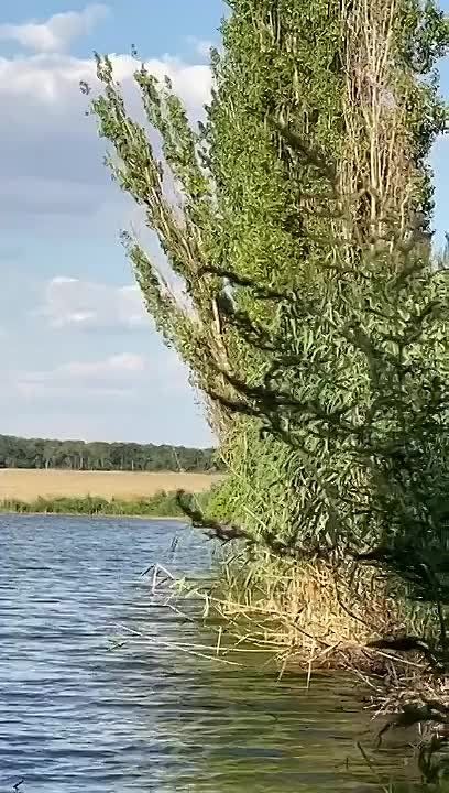 �������� ���� ����������! �� ���� ��� ����, ��� �������, ��� ������ ����� ��������