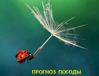 ��������� ��������, ��� ������� ��� ���� ���������� ����������