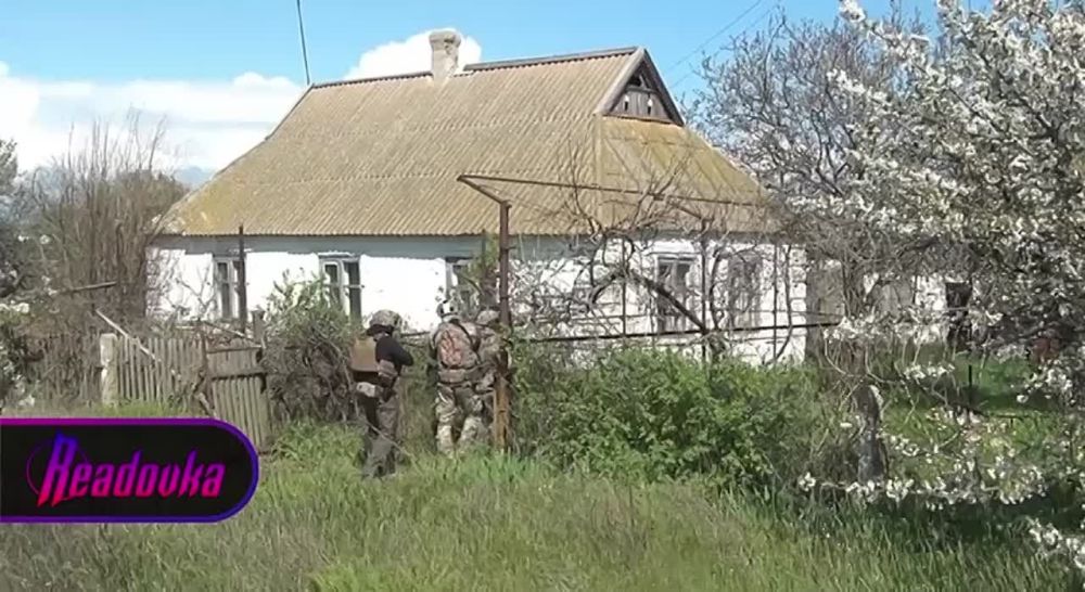 ������� ��������� ����������� ������� ������������� ��������� �� ������������ ������������������ ������� ������� � �������� 31-������ ��������� �������