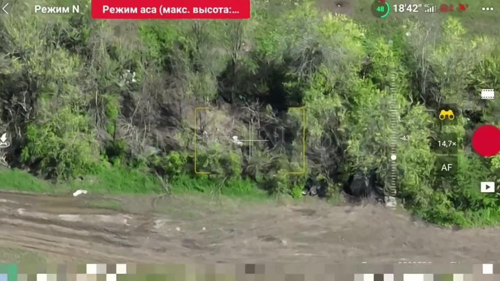 ������ ���� 37-� ������� ��� �� ������ ���������� ������� ������ ������������� �� ����������� �����������