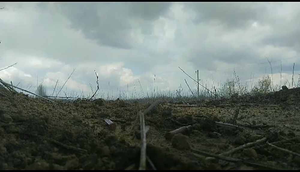 ������� �������: ��� ��� ������ ����, �� ����� �������� (������� � ����, ������, ����), ��������� ������������ ���� ������� � ����������� �������