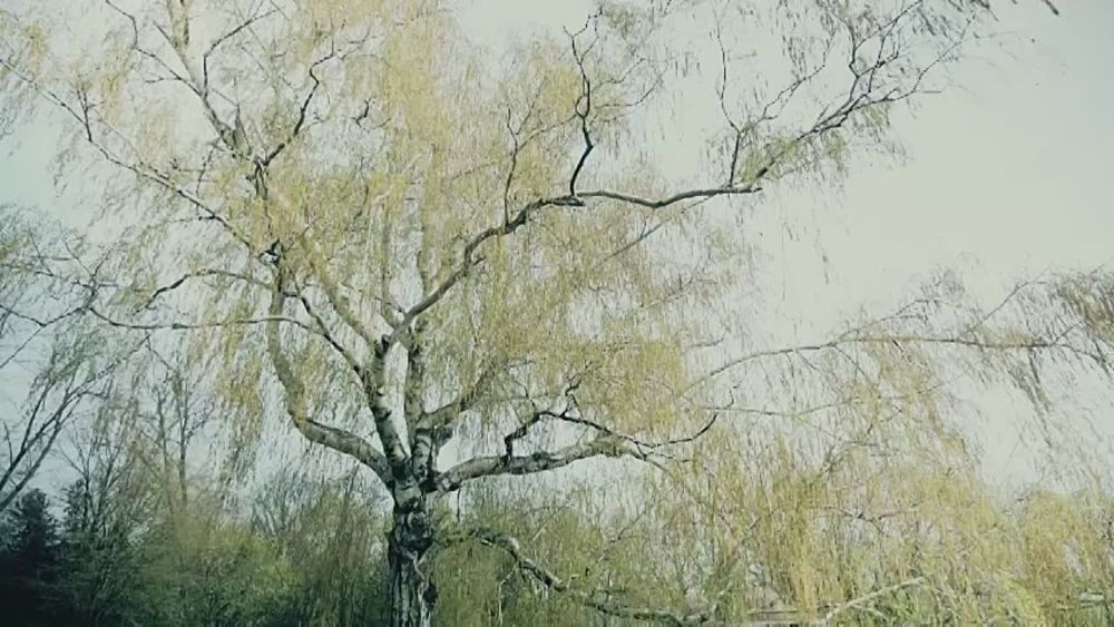 �������� ����� ���� ������ - � ������� ����