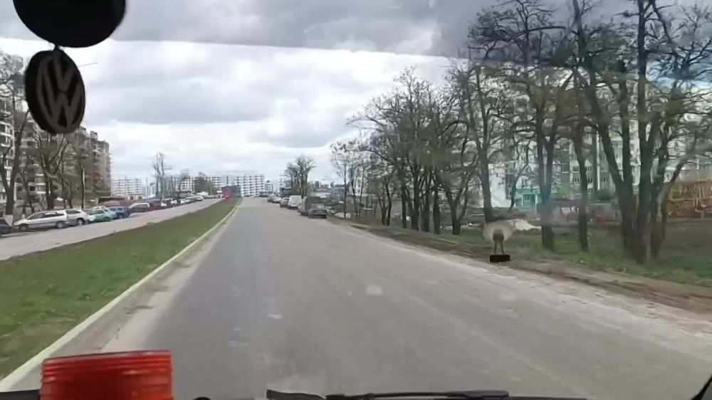 ������ � ������� �������..