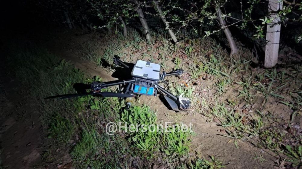 Енот из Херсона: Вот такую гадину сбили сегодня ночью на левом берегу Днепра