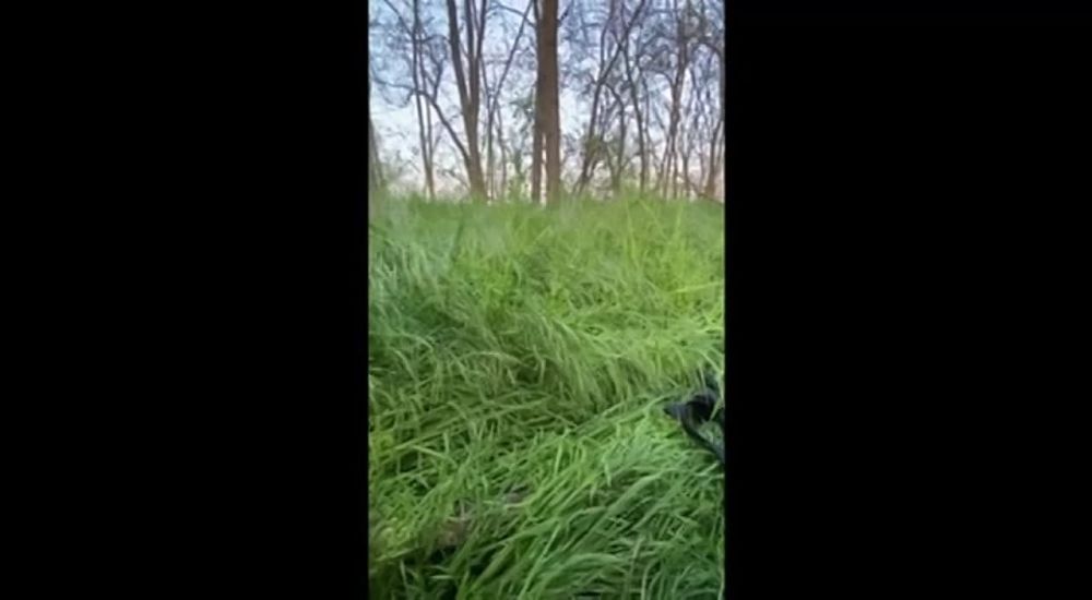 ����� �����: ����������� �����������. ��������� ������, �������������� � ����. ����� �� ������ ������ �� ����� �� ��������, ���� �����, �������� �� ��������, ������ �� ���-�� �������, ��� ���������� � ����������