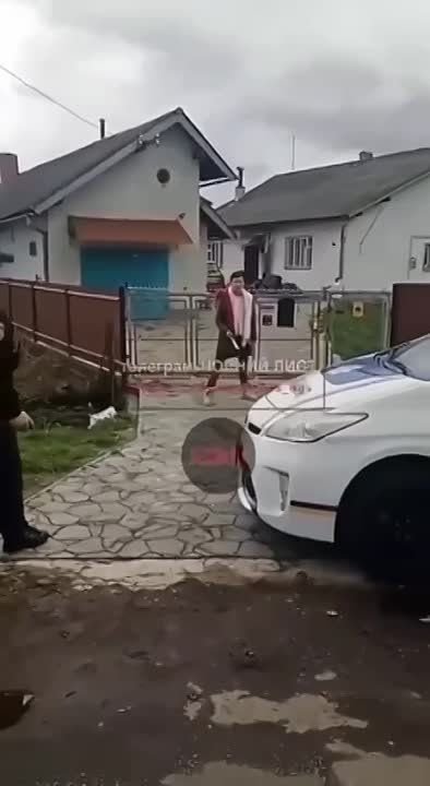 "����������� �� ������� �������� �����������" (�) �������