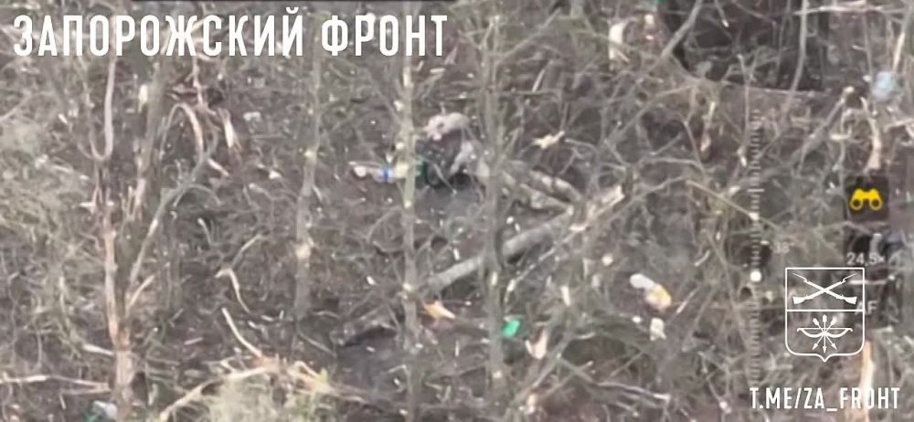 ����� ������ ������ � ��������� �������� ��� �� ����������� �����������