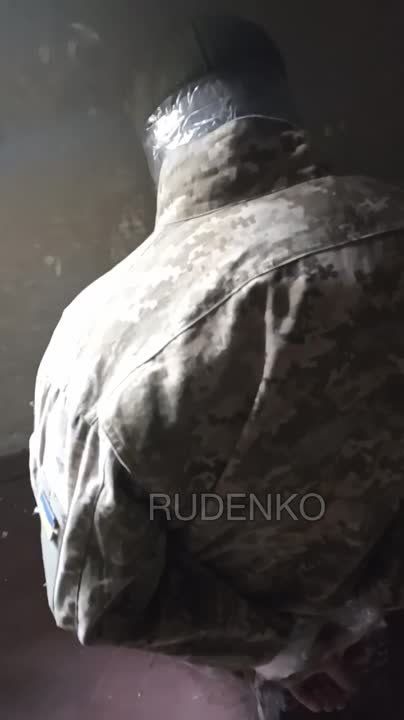 ������ ���� ����� ���� ������ �� 123 ������� ��� � ������ ���������