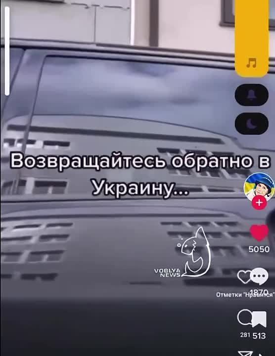 ����� ������ ������ �� �����
