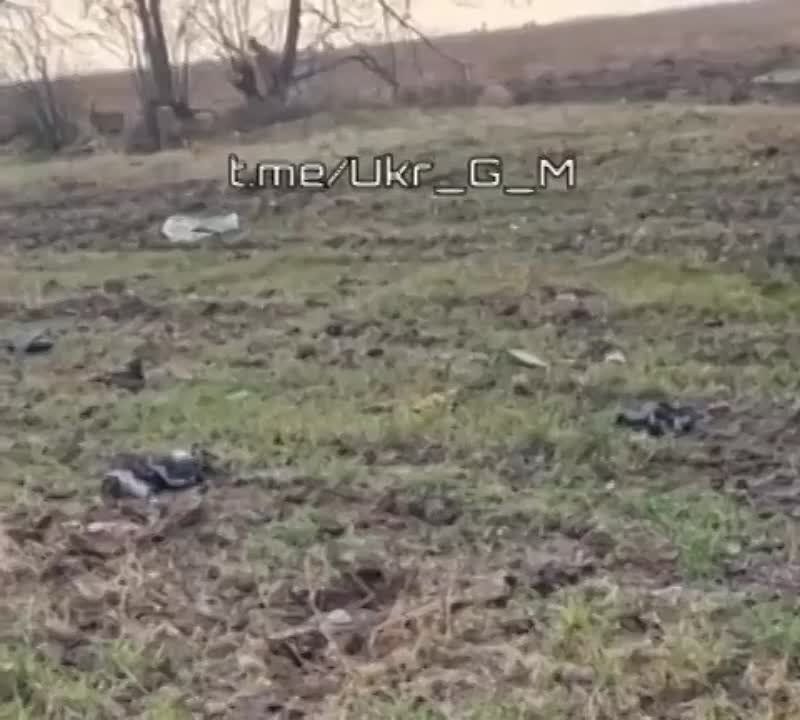 ����������� �� ��������������� ����� ��-62 ���������� � ���� ���������� ����� �� ����� �� ����������� ���