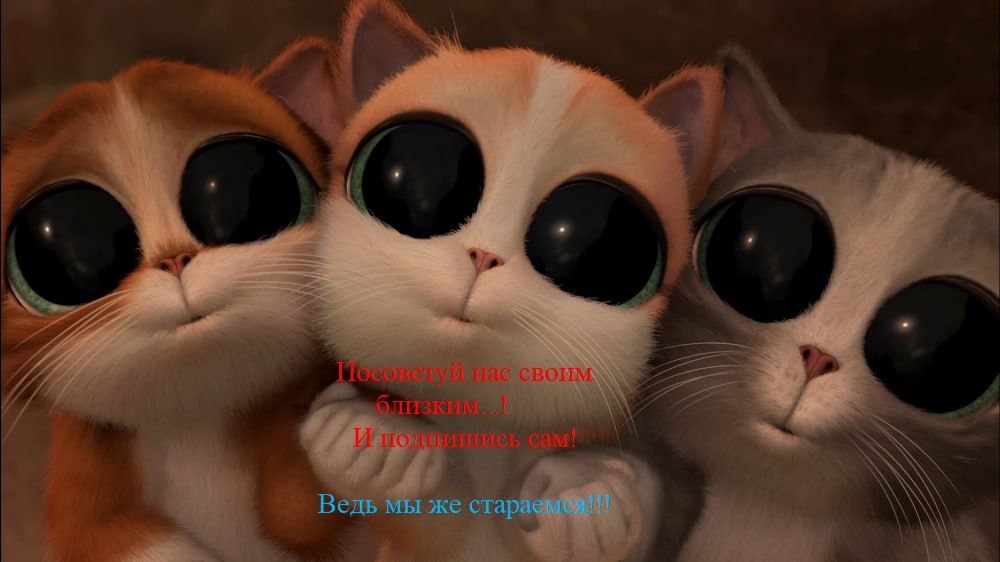 ������ �� ����������!. �������������