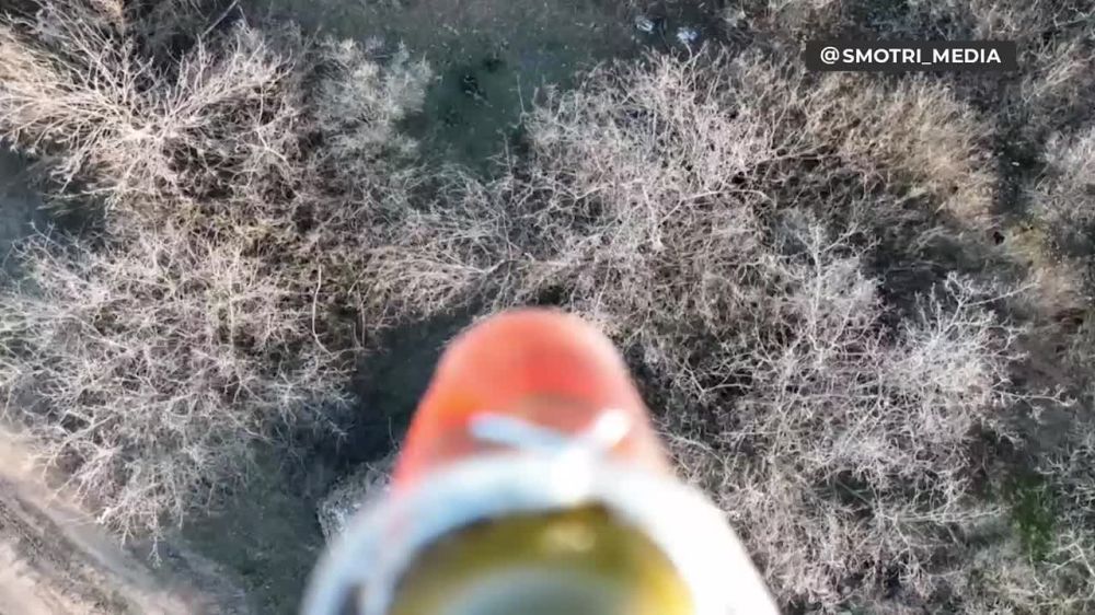 ������ ������������ �� �� ���������� �����������