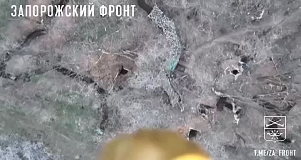 ����� ��������� ������ ������� � ������������� �� ������� ��� �� ����������� �����������