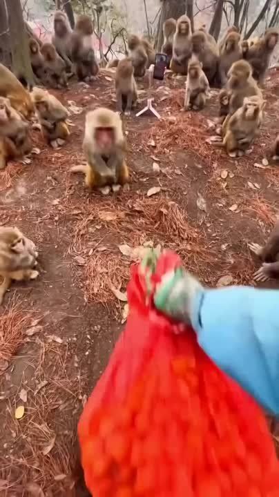 ����� �������� ���������))))
