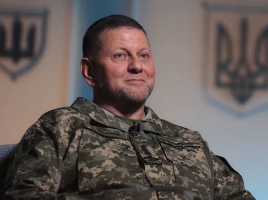 ����� ���������������� ����� ��������� � ������� ����� � �������� ��������