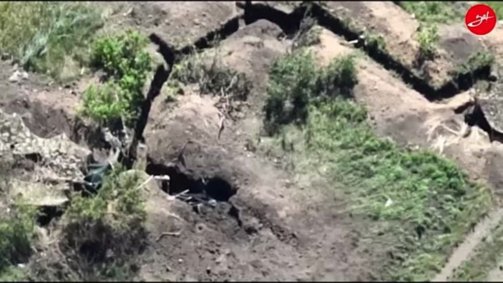 ���� ����� ���������� ��������� ����������