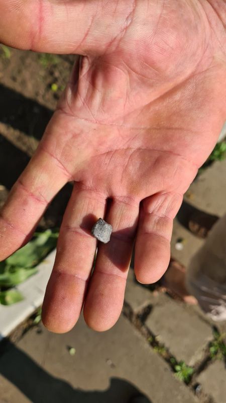 ����� �����: ����������� �������� �������