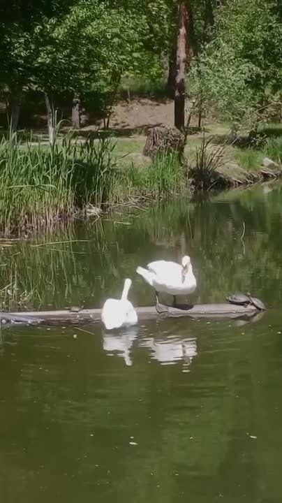 ���������� ������ � ��������� ����� ����������