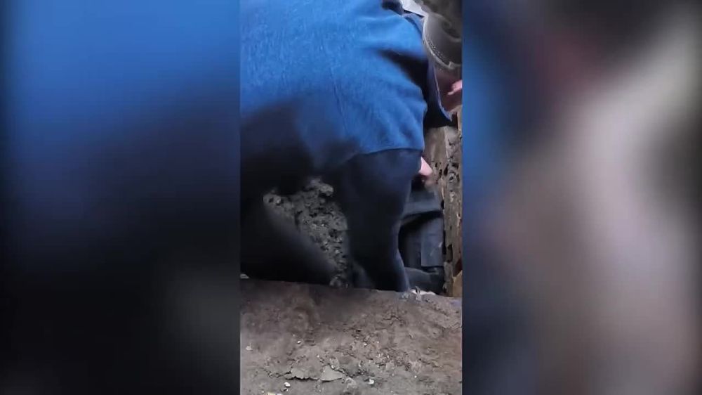 � ��������� ��������� ���������� ������� � ����� �������, ���������� � ������ ������������� ���� ������ "��������������"