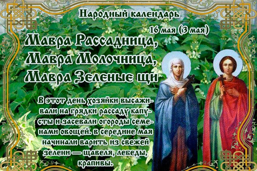 ������� 16 ��� 2023 ����, ������� � ���������� 8 ����������: