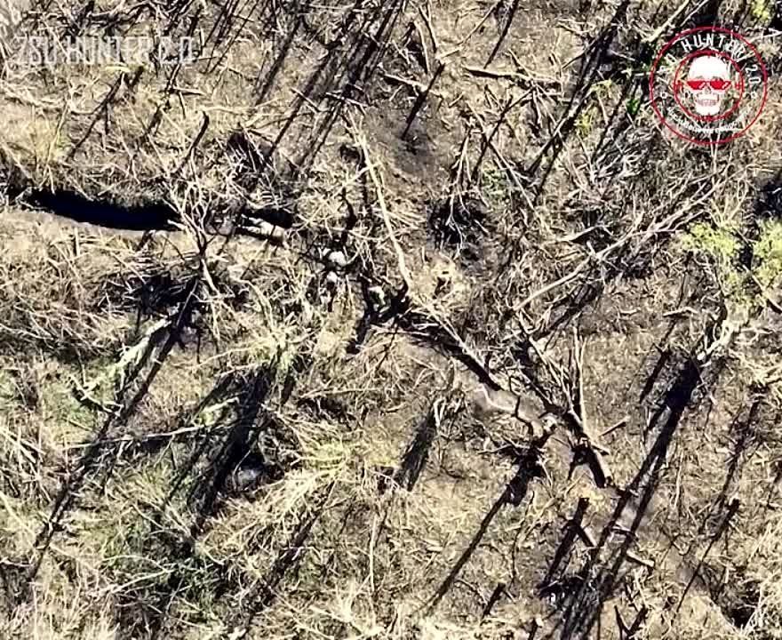 ��������� ������ �������� ���� ���������, ������� - ������ ���������!