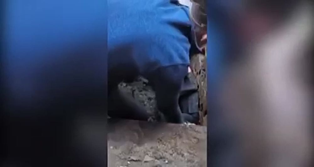 ��������������� ����������� ������� �������� ����� ������ ������������, � ���������� �������� ����� �����������