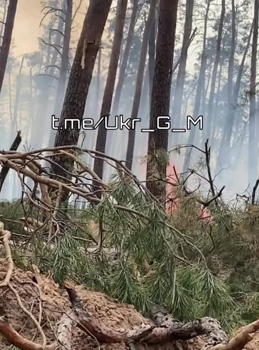 ������������ �� �� �������� ����� �������� �� ������������, ���������������� � ���������� ����