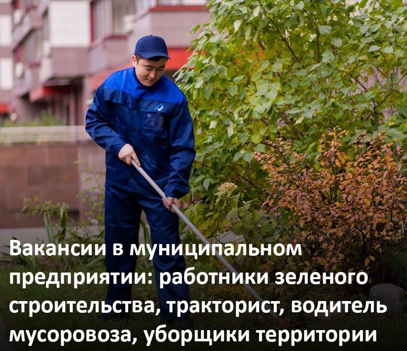 ��������������� �������������� ����������� ���������: