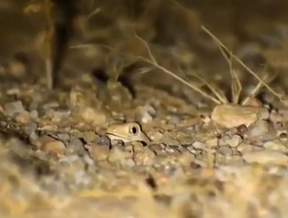 ��������, ��� ������������� ������������� ������ ��� ���������� �������