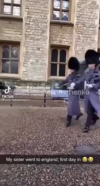 ��� ������� ������ ���������� �� �����������? ��������