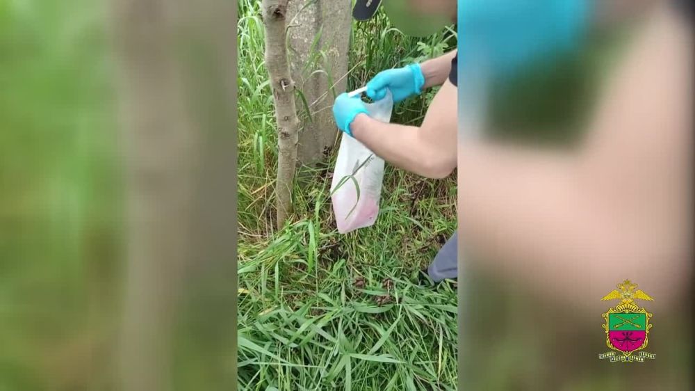 � ���������� ������� ������� �������� ����������