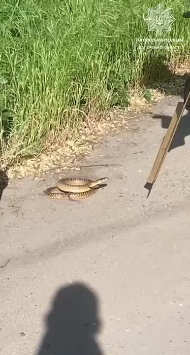 ����� ���������. ����� ���������� ���������� ������ ������ ���������, �������� ��������������� �������� �������, ����� ������� �������� ���������� ������� � ����� ����