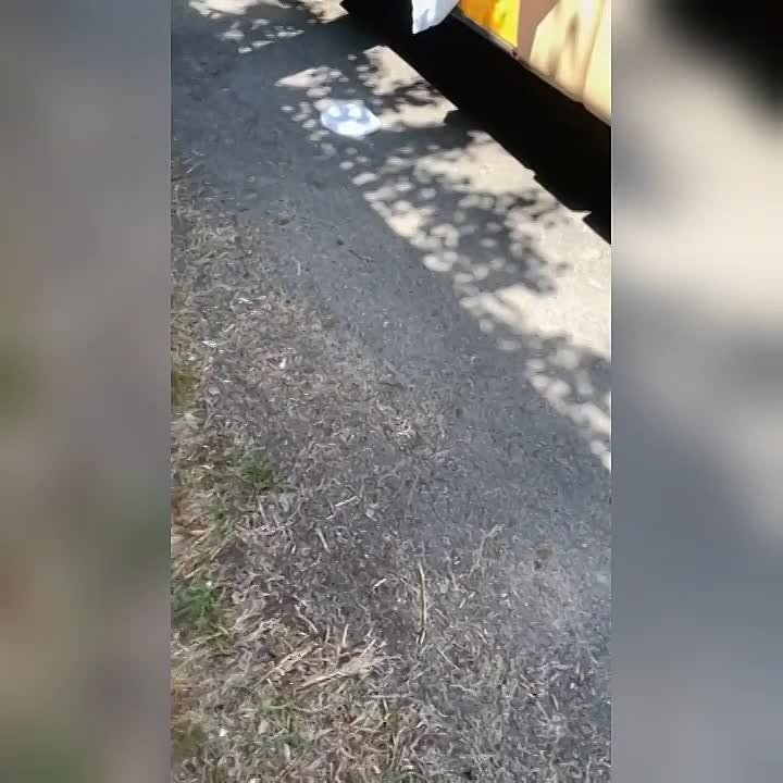 ��������, ����������� ������� �������� �������������� �������� �������