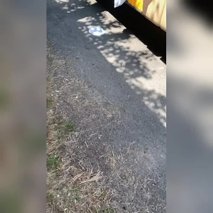 ����� �� �.�. �������� ����������� �������, �������� ��������������� ���