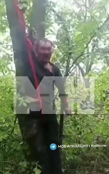 �������� ������ � ���, �����, ��� ��� ����� ����� ������: ���������� �������� ���������������