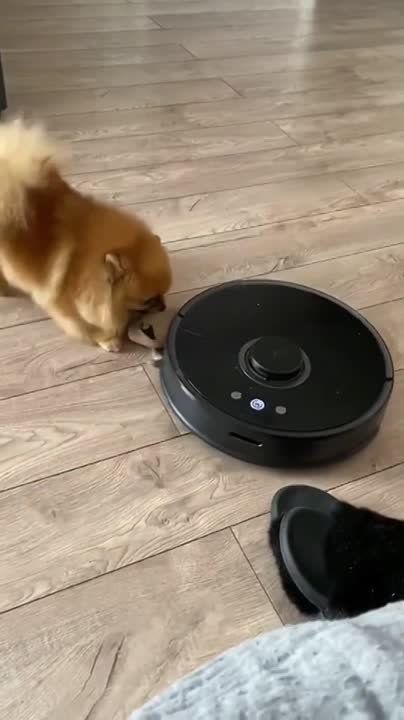 #������������. ������������ �������� ����� �� ��� ������������� ������� ������ �������