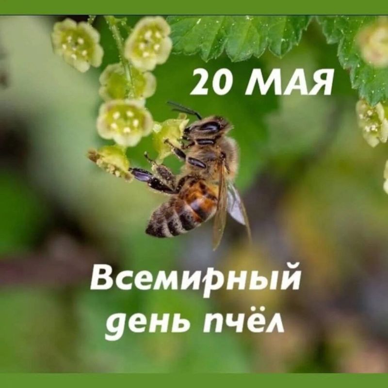������� ���������� ������������� ���� ����