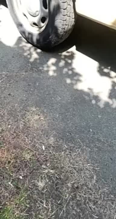 ���������� �������������� �� ����������� ����������� ���������� ���������� �������� � �������� ���������