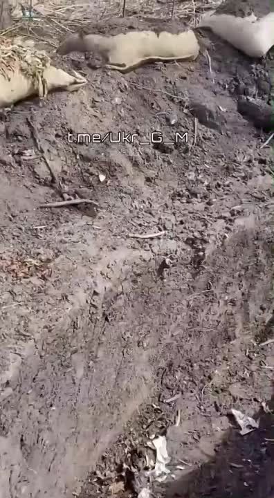 ������������ �� �� ������� ������� ��������� �� �������� ������������ ������������ �������, ������� ����� �� ������� �������